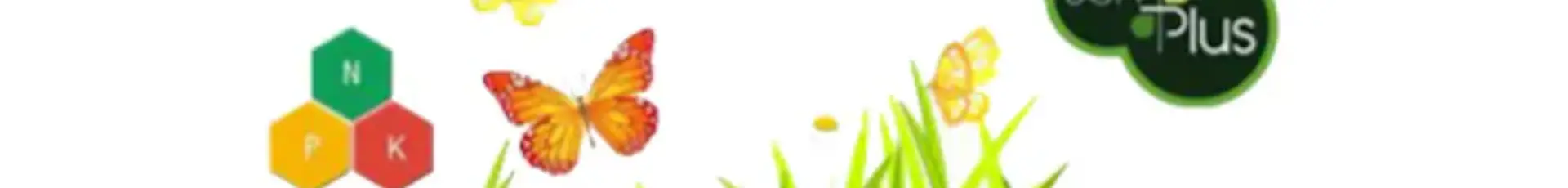 Tratamente pentru Flori